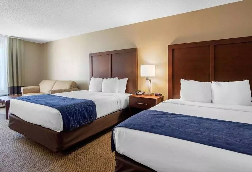 スイート, Comfort Inn & Suites Cooperstown   Milford