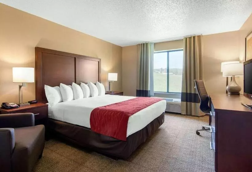 キングサイズベッドのスタンダードルーム, Comfort Inn & Suites Cooperstown   Milford