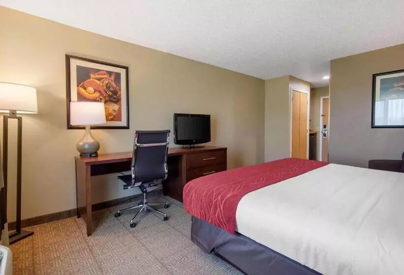 キングサイズベッドのスタンダードルーム, Comfort Inn & Suites Cooperstown   Milford