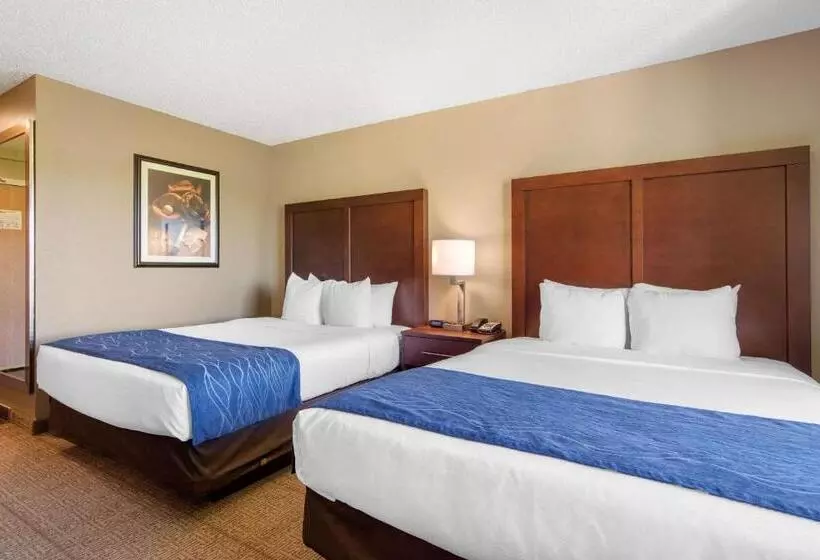 スタンダードルーム, Comfort Inn & Suites Cooperstown   Milford