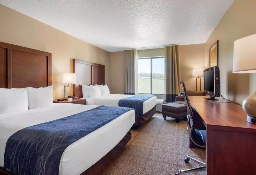 スタンダードルーム, Comfort Inn & Suites Cooperstown   Milford