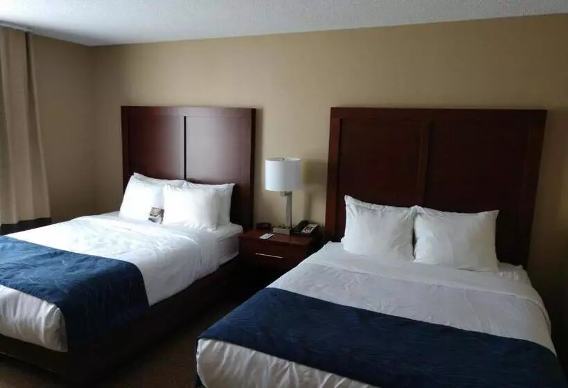 スーペリアースイート, Comfort Inn & Suites Cooperstown   Milford