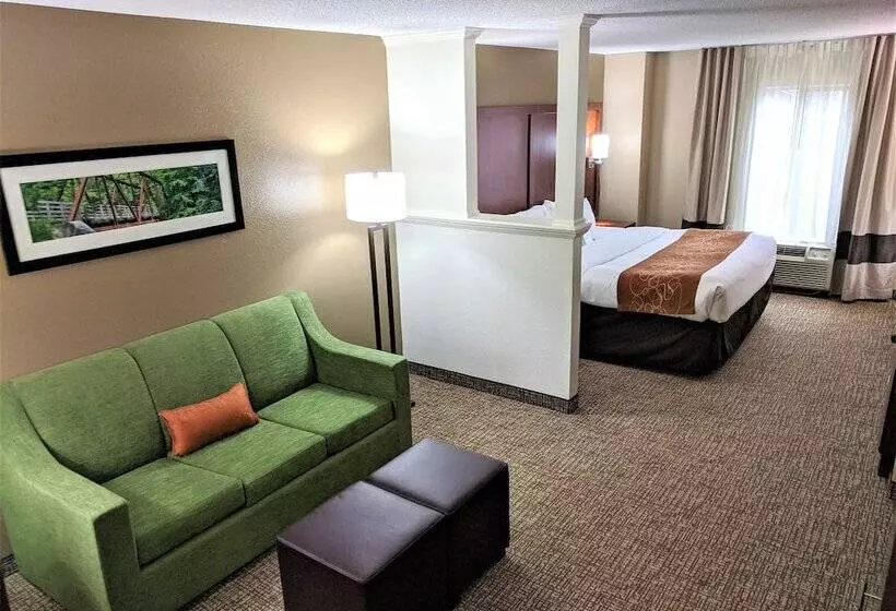 Sviitti Liikuntarajoitteisille, Comfort Suites Abingdon I81