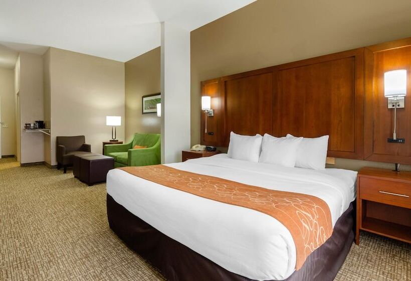 장애인을 위한 스위트, Comfort Suites Abingdon I81