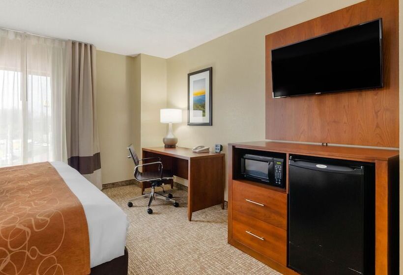 身障者適用スイートルーム, Comfort Suites Abingdon I81