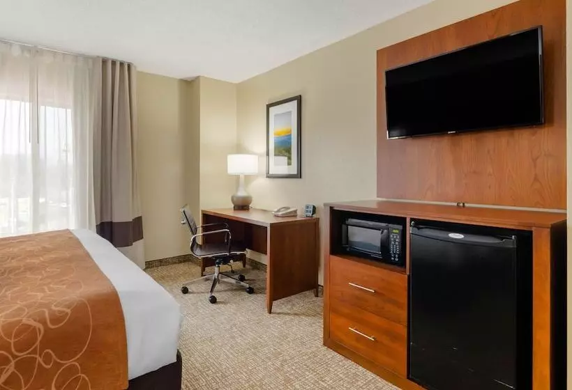 Sviitti Liikuntarajoitteisille, Comfort Suites Abingdon I81