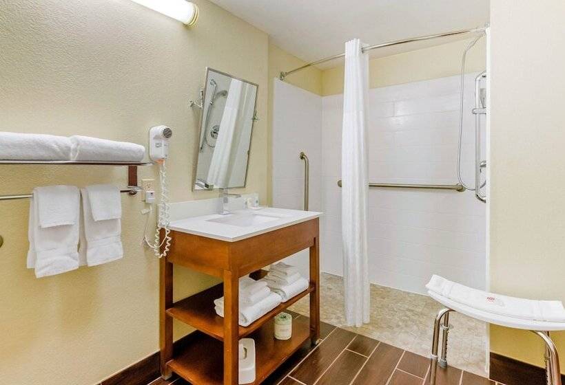 身障者適用スイートルーム, Comfort Suites Abingdon I81