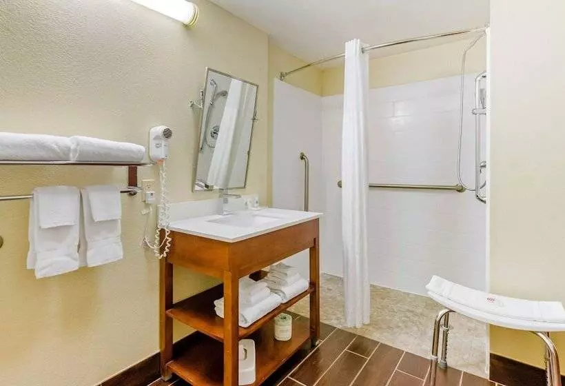 Sviitti Liikuntarajoitteisille, Comfort Suites Abingdon I81