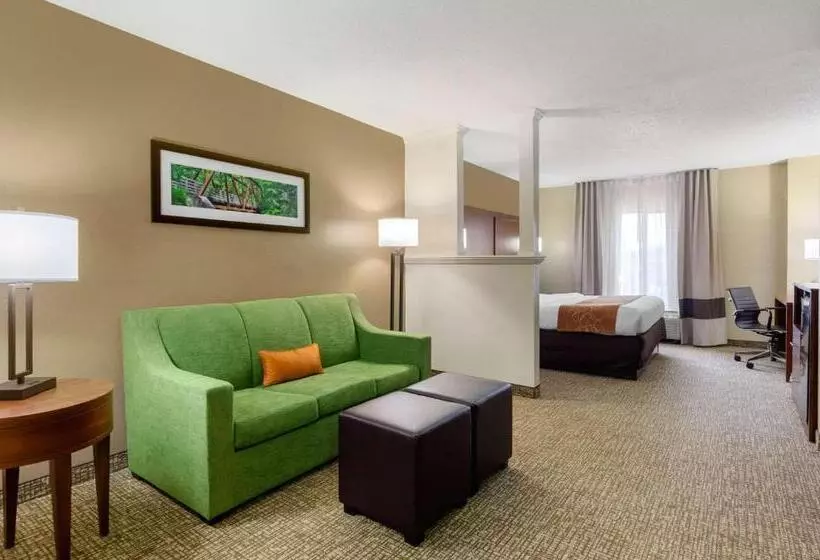 Sviitti King-vuode, Comfort Suites Abingdon I81
