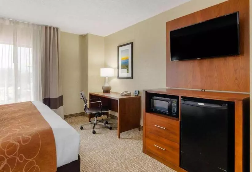 Sviitti King-vuode, Comfort Suites Abingdon I81
