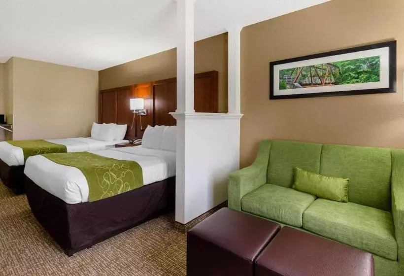 Standard-huone, Comfort Suites Abingdon I81