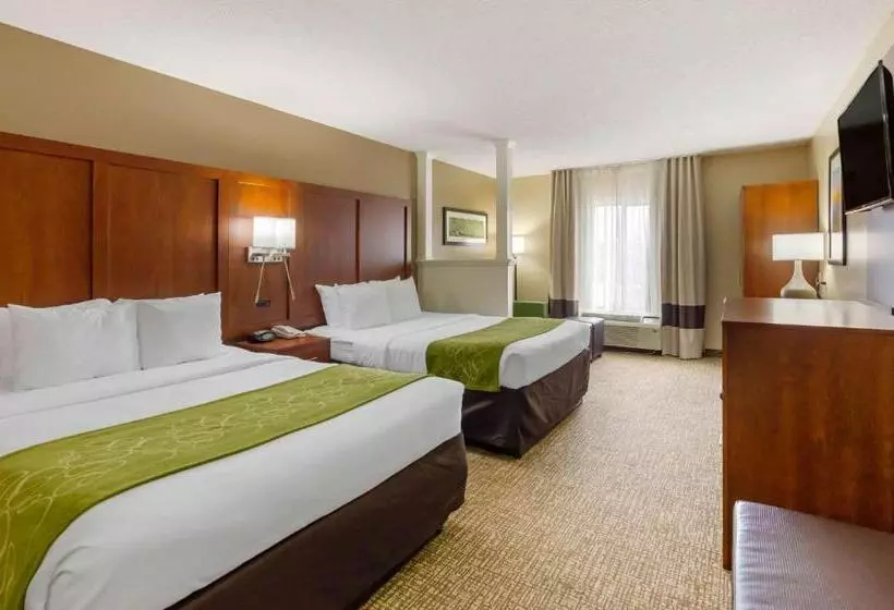 Standard-huone, Comfort Suites Abingdon I81