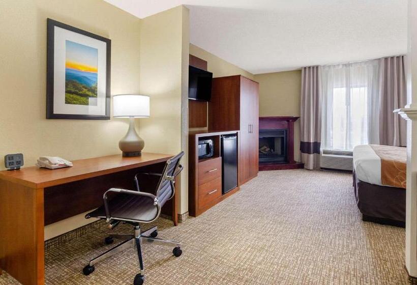 스위트 킹사이즈 침대, Comfort Suites Abingdon I81