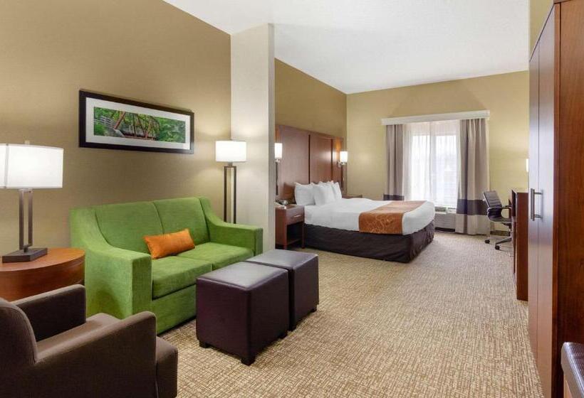 身障者適用スイートルーム, Comfort Suites Abingdon I81