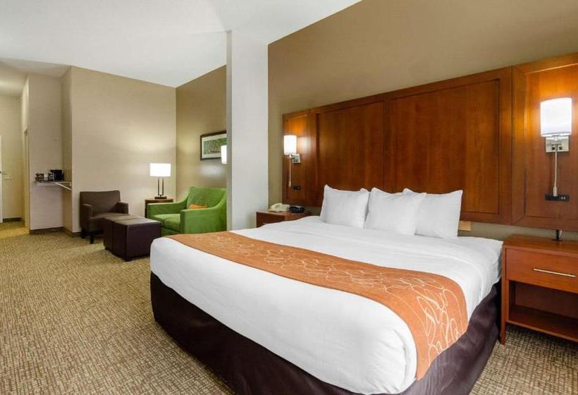 身障者適用スイートルーム, Comfort Suites Abingdon I81