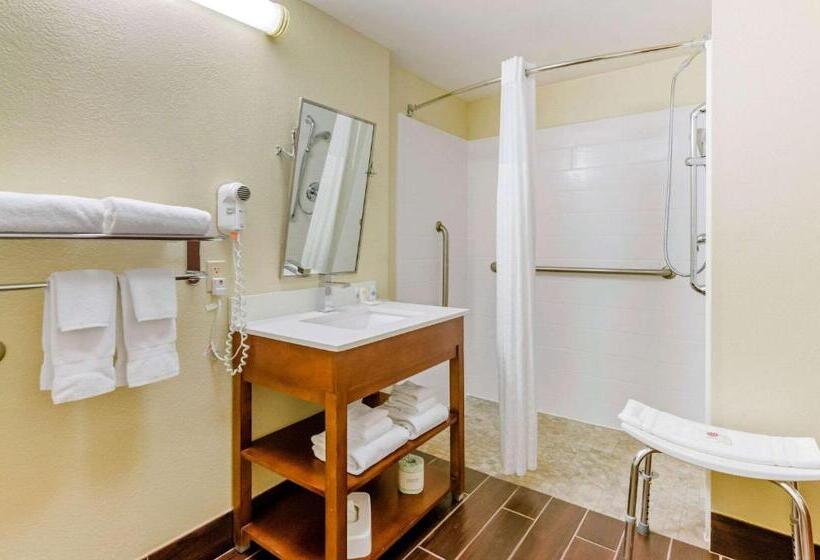 장애인을 위한 스위트, Comfort Suites Abingdon I81