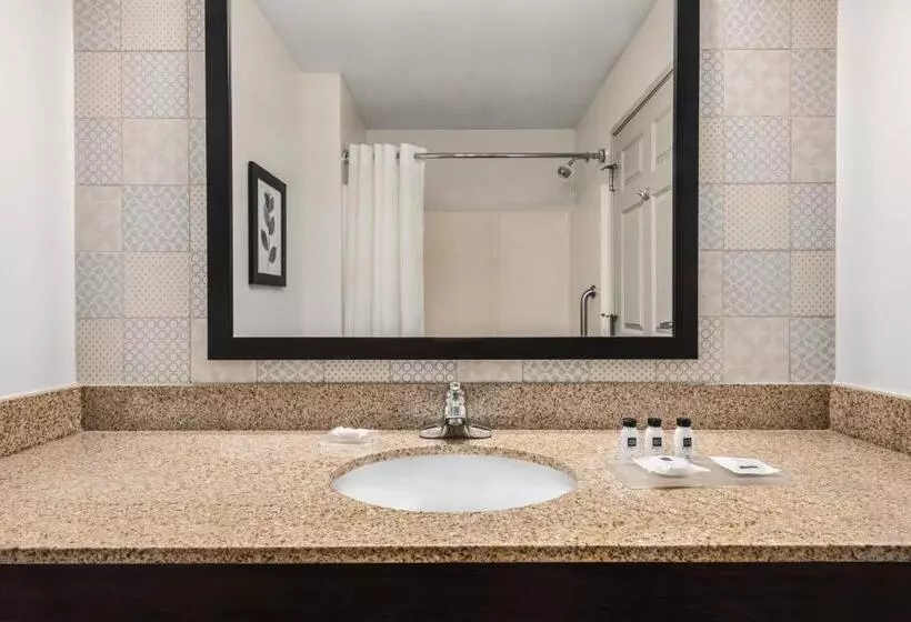 身障者適用スタンダードルーム, Country Inn & Suites By Radisson, Green Bay East, Wi