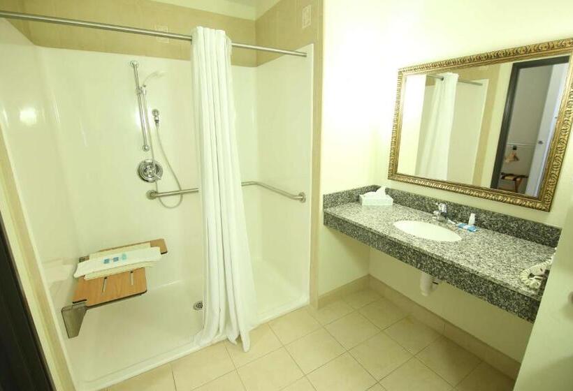 Номер Стандарт Адаптированный для Инвалидов, Crown Pointe Lodge; Bw Signature Collection