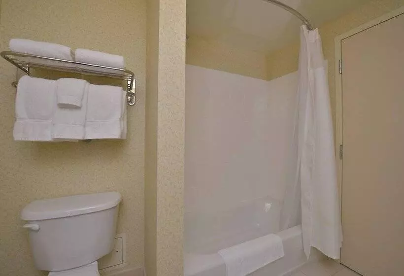 اتاق استاندارد با 2 تخت دوبل, Fairfield Inn And Suites By Marriott Williamsport