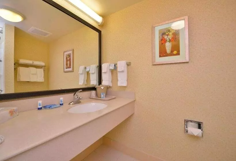 اتاق استاندارد با 2 تخت دوبل, Fairfield Inn And Suites By Marriott Williamsport