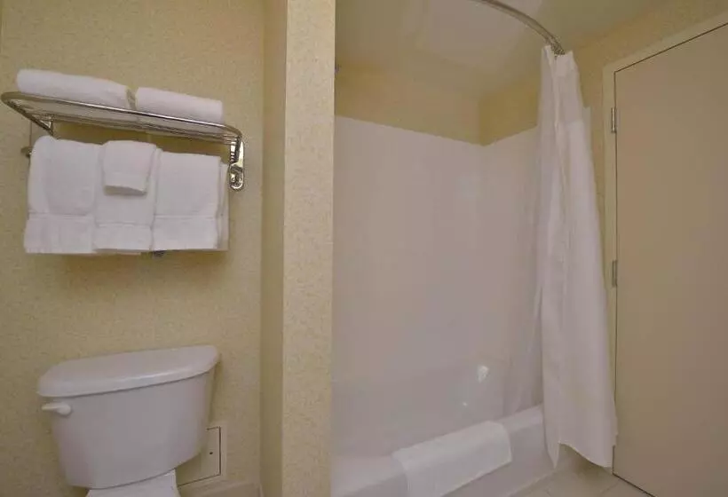 اتاق استاندارد با تخت بزرگ, Fairfield Inn And Suites By Marriott Williamsport