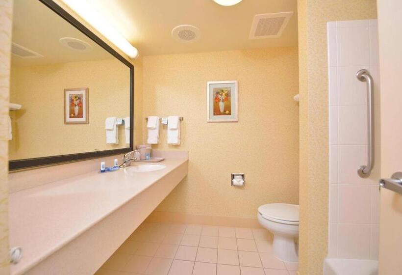 סטודיו סטנדרט, מיטה זוגית, Fairfield Inn And Suites By Marriott Williamsport