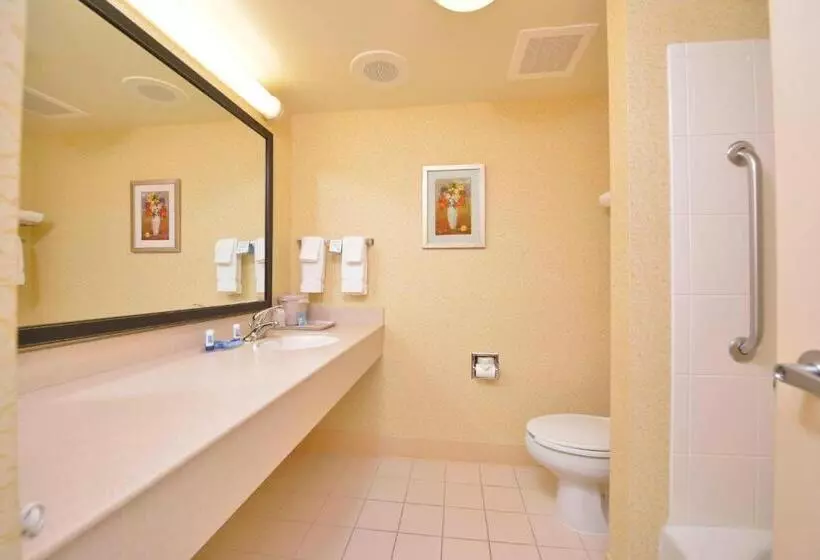 استودیو استاندارد با تخت کینگ, Fairfield Inn And Suites By Marriott Williamsport