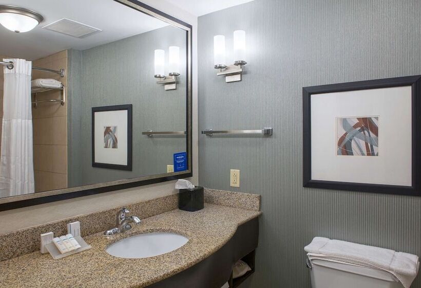 Люкс, Hilton Garden Inn Jonesboro