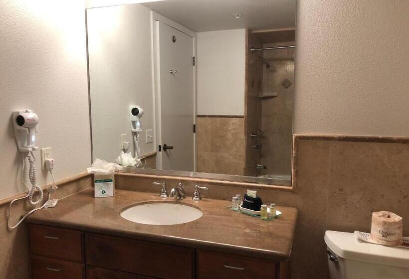 Номер Deluxe Кровать Кинг, Little Sur Inn