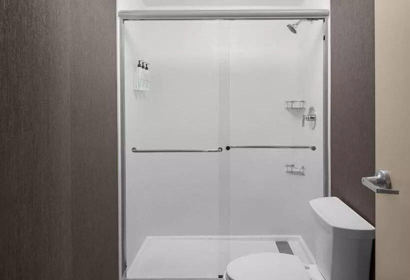 スイート, Springhill Suites By Marriott Grand Rapids Airport Southeast