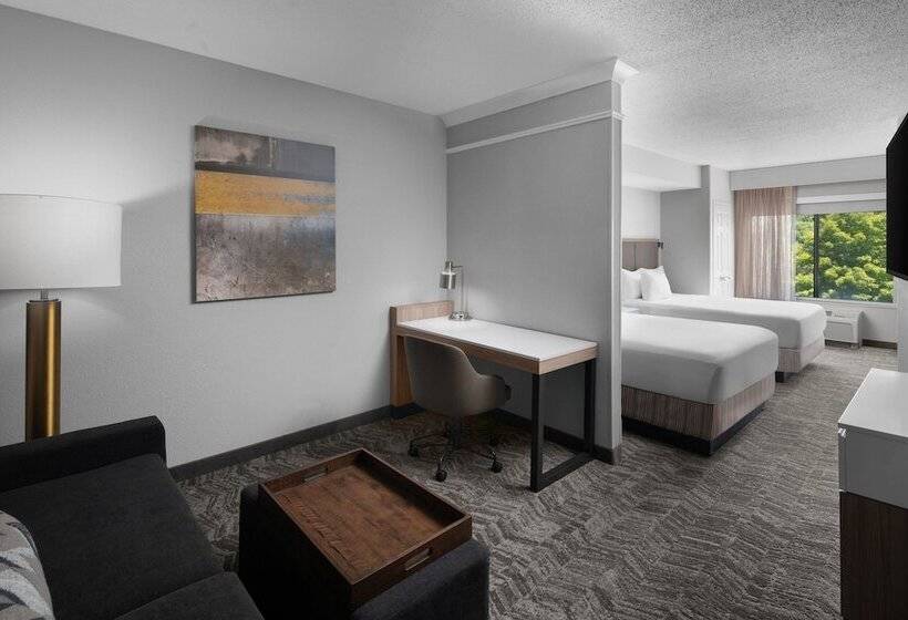 جناح, Springhill Suites By Marriott Grand Rapids Airport Southeast