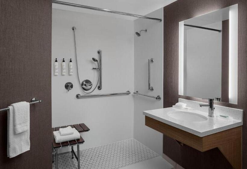 스위트 킹사이즈 침대, Springhill Suites By Marriott Grand Rapids Airport Southeast