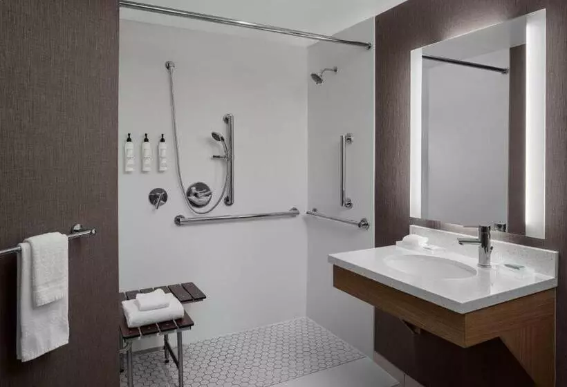 キングサイズベッドのスイートルーム, Springhill Suites By Marriott Grand Rapids Airport Southeast