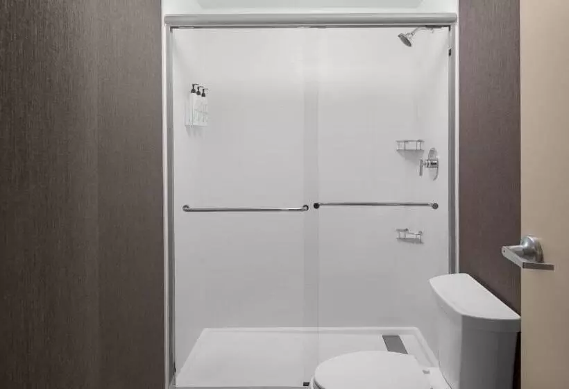 キングサイズベッドのスイートルーム, Springhill Suites By Marriott Grand Rapids Airport Southeast