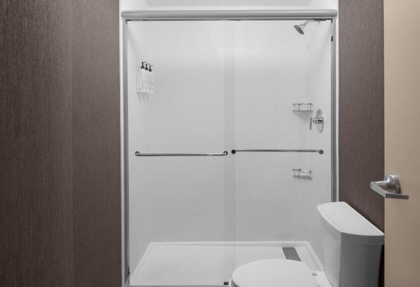 스위트, Springhill Suites By Marriott Grand Rapids Airport Southeast