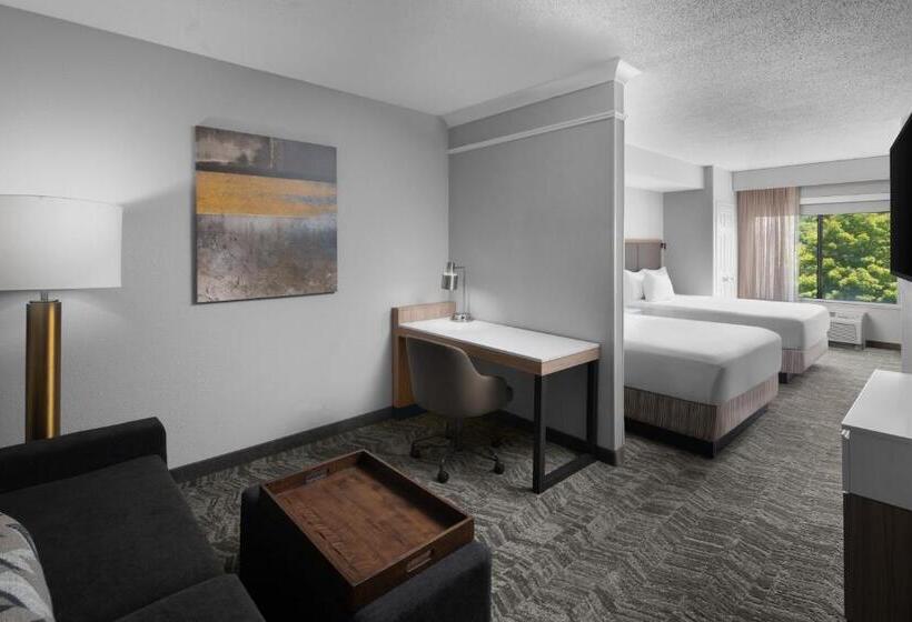 جناح, Springhill Suites By Marriott Grand Rapids Airport Southeast