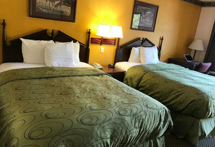 스탠다드 룸, Clairmont Inn & Suites Warren