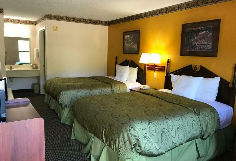 Номер Стандарт, Clairmont Inn & Suites   Warren