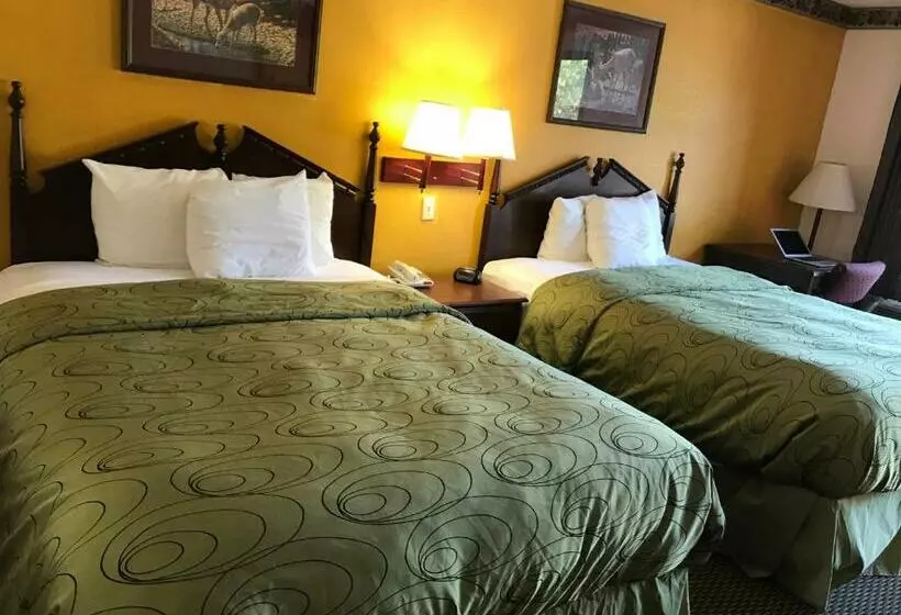 キングサイズベッドのスタンダードルーム, Clairmont Inn & Suites   Warren