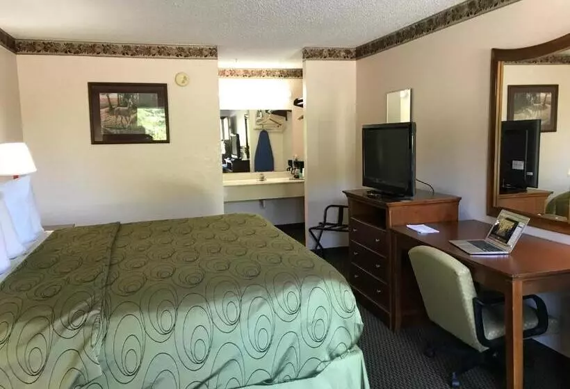 キングサイズベッドのスイートルーム, Clairmont Inn & Suites   Warren