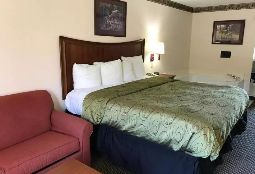 キングサイズベッドのスイートルーム, Clairmont Inn & Suites   Warren