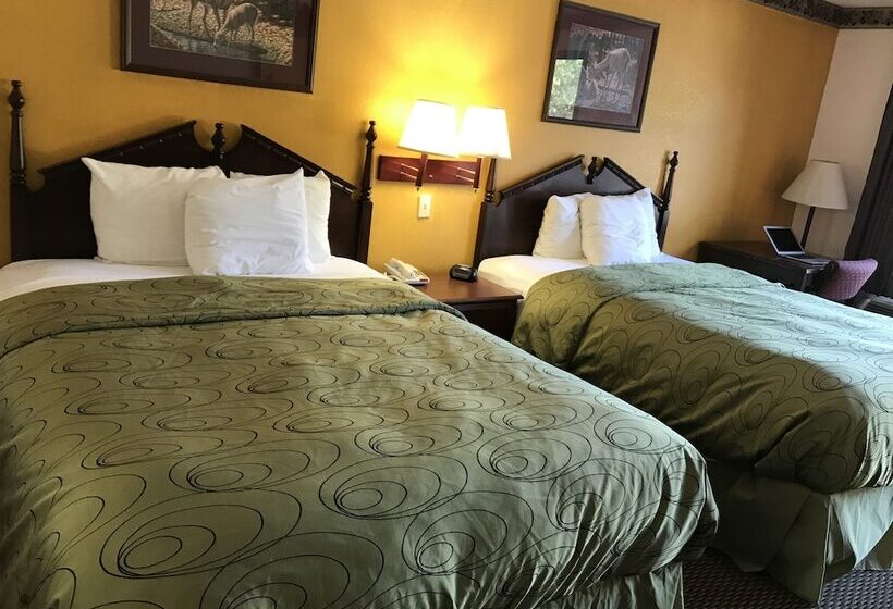 스탠다드 룸, Clairmont Inn & Suites Warren