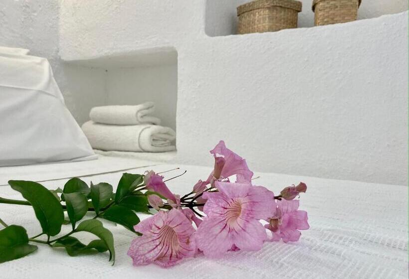 סטודיו סטנדרטי נוף לים, Alkyonis Villas