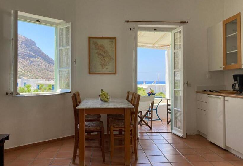 带1个卧室的带海景的公寓, Alkyonis Villas