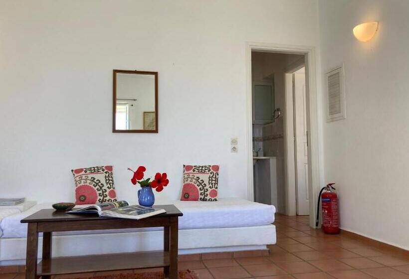 带1个卧室的带海景的公寓, Alkyonis Villas