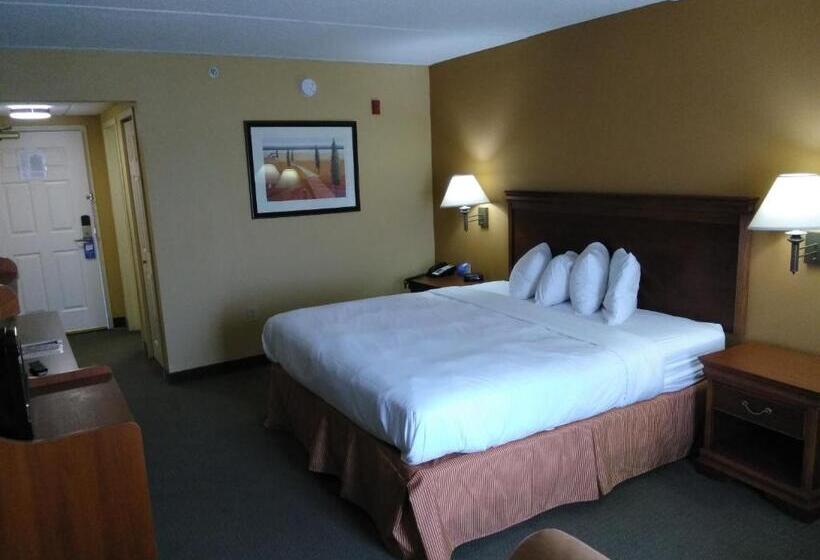 غرفة قياسية سرير كينج لذوى الإحتياجات الخاصة, Baymont By Wyndham Clinton