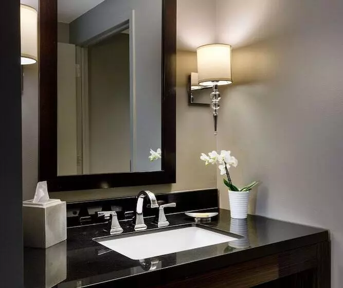 デラックスルーム, Colcord Hotel Oklahoma City, Curio Collection By Hilton