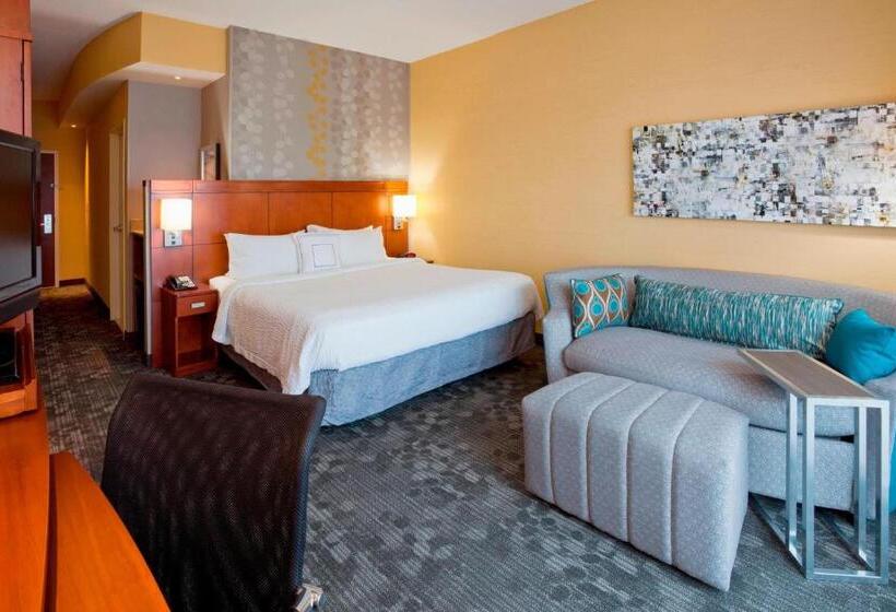 Стандартный Номер Кровать Кинг, Courtyard Minneapolis Maple Grove Arbor Lakes
