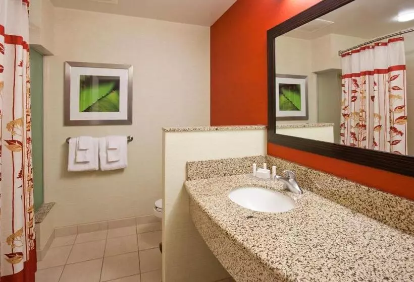 身障者適用スタンダードルーム, Courtyard Minneapolis Maple Grove Arbor Lakes