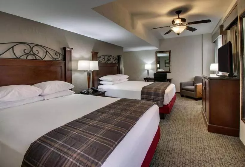 デラックスルーム, Drury Plaza Hotel San Antonio Riverwalk